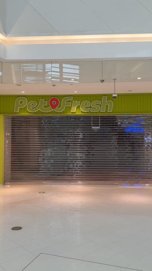 关店！曾被质疑“使用冷冻肉”CQ9电子网站连锁品牌接连(图2)