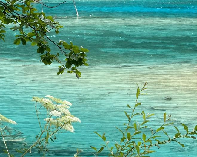 川旅游4天3晚防坑防骗攻略~一文全掌握！CQ9电子网站2025四川旅游攻略：四(图1)