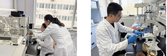 砥砺创新之翼 铸就卓越之魂:营养源所新增荣誉资质(图2) 砥砺创新之翼 铸就卓越之魂:营养源所新增荣誉资质(图2)